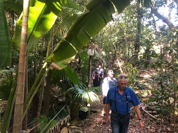 Rainforest Walk