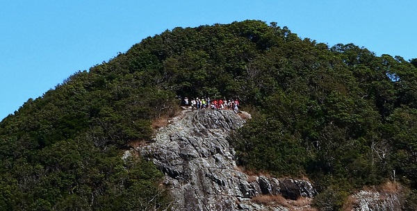 Cooroy Mountain